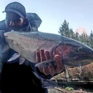 Meet your Posher, Justin